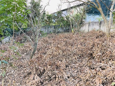 Bán lô đất 645m2   rộng 15, sâu 43m thuộc  tiểu khu bó pun   mộc châu   sơn la. 0