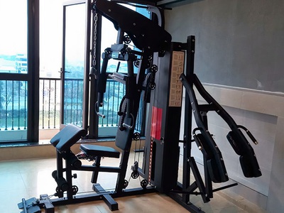 Giàn tạ đa năng HQ-908S 0