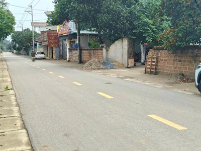 Chính chủ bán 300m2 mặt đường đồng trạng, đối diện trường tiểu học cổ đông, kinh doanh đẹp 46tr/m2 0