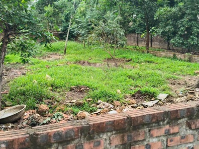 Chính chủ bán 300m2 mặt đường đồng trạng, đối diện trường tiểu học cổ đông, kinh doanh đẹp 46tr/m2 4