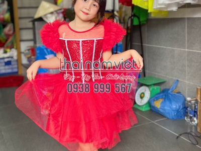 Cho thuê váy múa biểu dieemmx tại tphcm 11