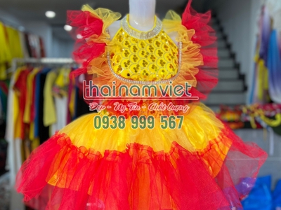 Cho thuê váy múa biểu dieemmx tại tphcm 12