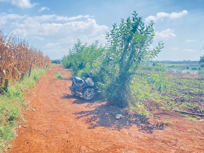 2,5 ha, hẻm tân hội, đức trọng cũ, lâm đồng 0