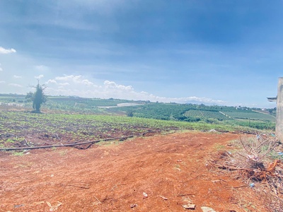 2,5 ha, hẻm tân hội, đức trọng cũ, lâm đồng 1