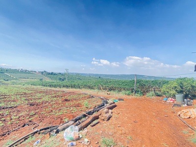 2,5 ha, hẻm tân hội, đức trọng cũ, lâm đồng 2