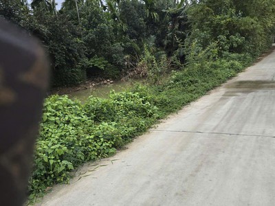 Bán lô đất siêu đẹp đường bê tông 3m - đối diện nhà hàng cầu đỏ. 4