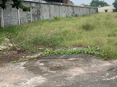 Bán đất mặt tiền 10.138m ngang 39m giá 199 tỷ đường tô ký 12 0