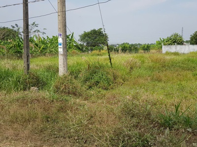 Chính chủ cần bán lô đất mặt tiền đường quách văn tuấn, p.5, tp tân an   long an 0