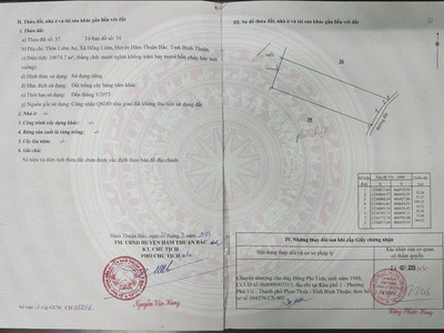 Bán đất trồng thanh long   giá tốt tại bình thuận 0