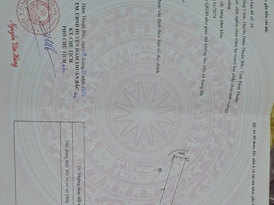 Bán đất trồng thanh long   giá tốt tại bình thuận 4