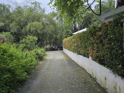 Bán lô đất siêu đẹp đường bê tông 3m - đối diện nhà hàng cầu đỏ. 3