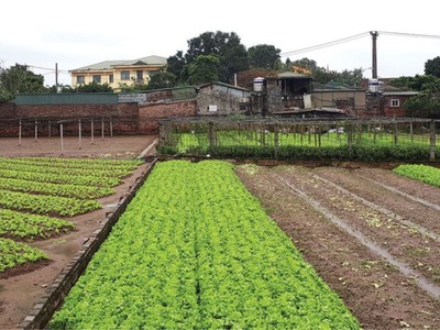 Bán đất nông nghiệp sài sơn - quốc oai - dt 256m2 - mt 7m - đường ô tô vào- gần đường qh 40m. 0