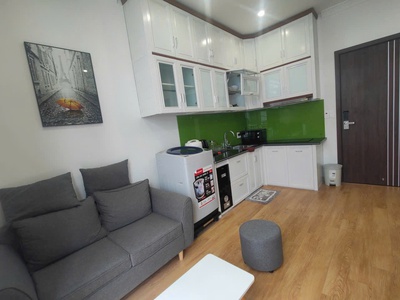 Cho thuê căn hộ Vinhomes Marina, 1 ngủ riêng biệt  45m2 . 2