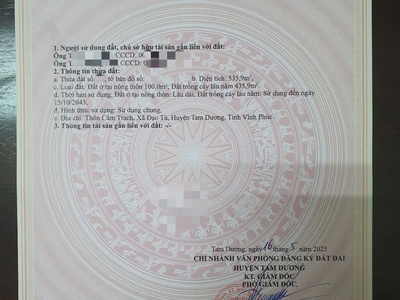 Sở hữu ngay lô đất 535m  vị trí vàng tam dương   kết nối ic5 1