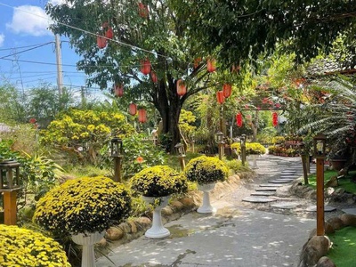 Mình chính chủ cho thuê khuôn viên quán coffee   view đẹp khu vực xã vĩnh trung, thành phố nha 3