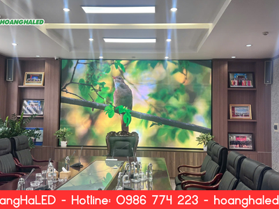 Lắp Đặt Màn Hình LED Phòng Họp P2 Tại BIDV Thành Phố Bắc Giang 0