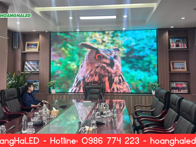 Lắp Đặt Màn Hình LED Phòng Họp P2 Tại BIDV Thành Phố Bắc Giang 1