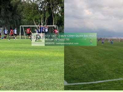 Dịch vụ chăm sóc thảm cỏ sân bóng tại TP.HCM, Đồng Nai 2