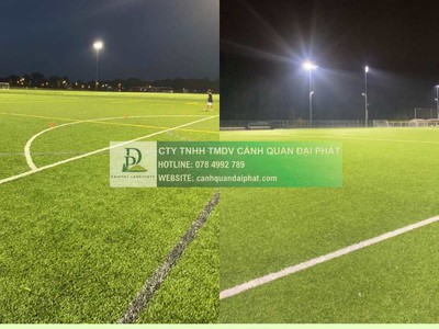 Dịch vụ chăm sóc thảm cỏ sân bóng tại TP.HCM, Đồng Nai 0