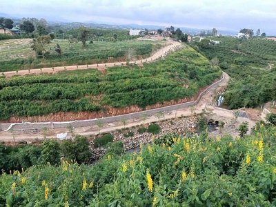 Chính chủ  tuyệt phẩm đất sinh thái lâm đồng   2 mặt tiền   suối tự nhiên 0