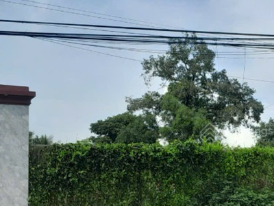 Chính chủ bán đất thổ cư mặt tiền 835b   diện tích lớn 496m    giá tốt hiếm tại cần giuộc 4