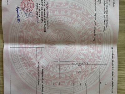 Chính chủ bán đất mặt tiền đường nguyễn thìn   xã bình ân, gò công đông 3