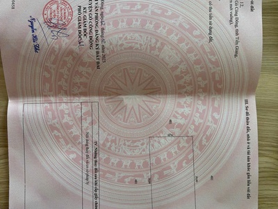 Chính chủ bán đất mặt tiền đường nguyễn thìn   xã bình ân, gò công đông 2