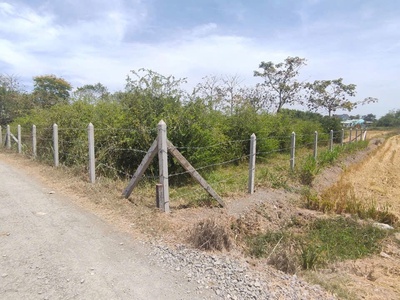 Chính chủ bán đất mặt tiền đường nguyễn thìn   xã bình ân, gò công đông 1