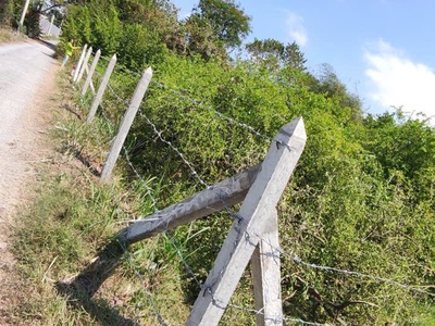 Chính chủ bán đất mặt tiền đường nguyễn thìn   xã bình ân, gò công đông 0