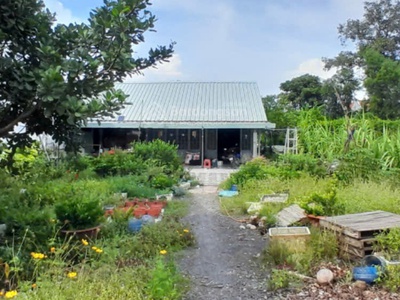 Chính chủ bán đất thổ cư mặt tiền 835b   diện tích lớn 496m    giá tốt hiếm tại cần giuộc 0