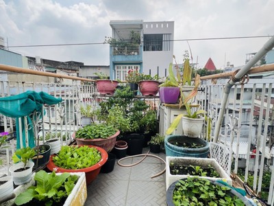 Phú nhuận - nguyễn kiệm 4 tầng btct - dtsd 78m2 - công nhận 27m2 - giá 3.5 tỷ tl. 3