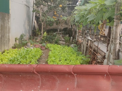 Bán gấp giá rẻ vạn phúc 40m, đất, mặt tiền 5.2m, 4 tỷ thanh trì. 0