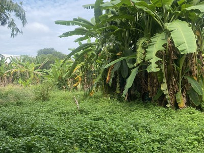 Kẹt tiền gia đình cần bán trước tết khu đất hiếm giá tốt tại dĩ an bình dương 1