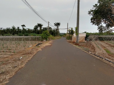 Cần bán lô đất chính chủ. thuộc xã đa bạc. đường nhựa sát dân. dt. 4sao2 giá 3t2 hết sổ. 1