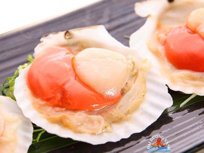 Cách Nhận Biết Sò Điệp Nhật Nguyên Con Chất Lượng Cao 0