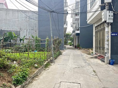 Bán đất 50m2 Bạch Mai An Dương Hải Phòng 0