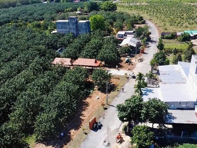 350 Triệu Có Đất Bàu Bàng - Đất mặt tiền Trừ Văn Thố, có sẵn vườn bưởi thu hoạch 1