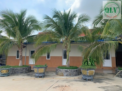 Bán nhà xưởng   HÀM TÂN, BÌNH THUẬN   11.879m 1