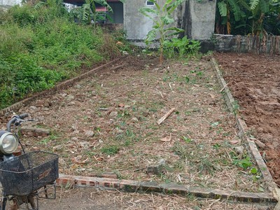 Hơn 8xx triệu  lô đất ngõ ô tô 3m trải nhựa kính trực   gần khu logistics  thanh khoản khu dân cư 2