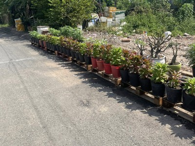 Bán đất mặt tiền đường nhựa 12m ngang 5x19m giá 5 tỷ đường đông thanh 7-3 0