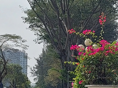 Giá mới 24 tỷ mặt tiền kinh doanh vipliên phường q9 5 x 20 0