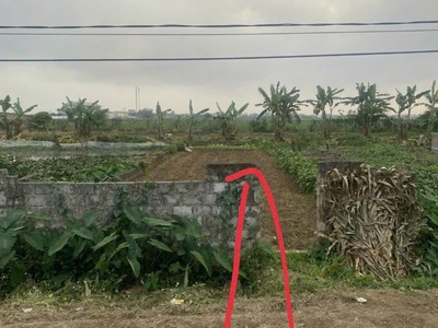 Bán nhanh lô đất đẹp   vuông vắn - giá tốt   hưng hà, thái bình 0