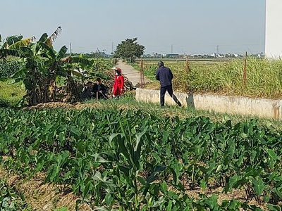 Siêu hót - chính chủ bán lô đất đẹp   vuông vắn   hưng hà, thái bình 0