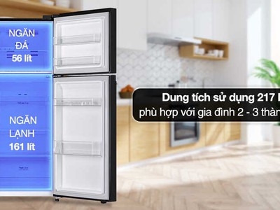 Tủ lạnh LG 2 cánh t21bg, t26bg, t30sv 1
