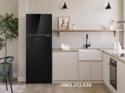 Tủ lạnh LG 2 cánh t21bg, t26bg, t30sv 2