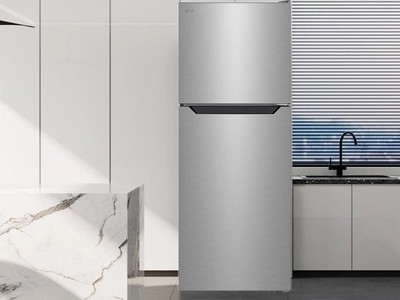 Tủ lạnh LG 2 cánh t21bg, t26bg, t30sv 3