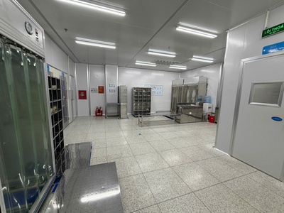 Cho thuê xưởng sẵn phòng sạch tại KCN Quang Minh. Hà Nội 3