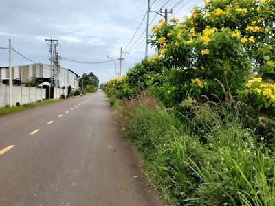 Cơ hội vàng đầu tư   đất mặt tiền tp.hcm  brvt cũ 0