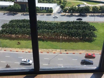 Matrix one - không gian sống đẳng cấp dành riêng cho giới tinh hoa - dòng tiền sẵn có 1