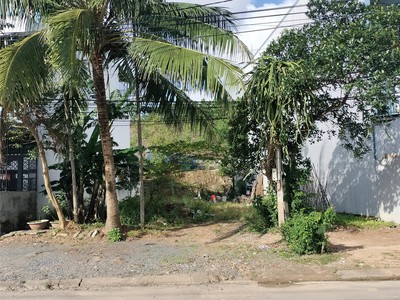  đất mặt tiền đường 7m5   cẩm lệ   giá chỉ 3,25 tỷ  0